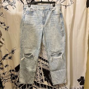 NWT American Eagle 90s Boyfriend Jeans Hi Rise Distressed Cotton Acid 18